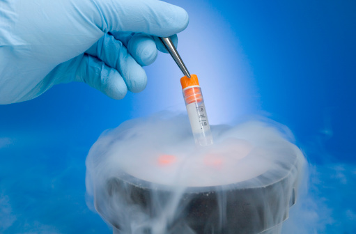 Embryo freezing